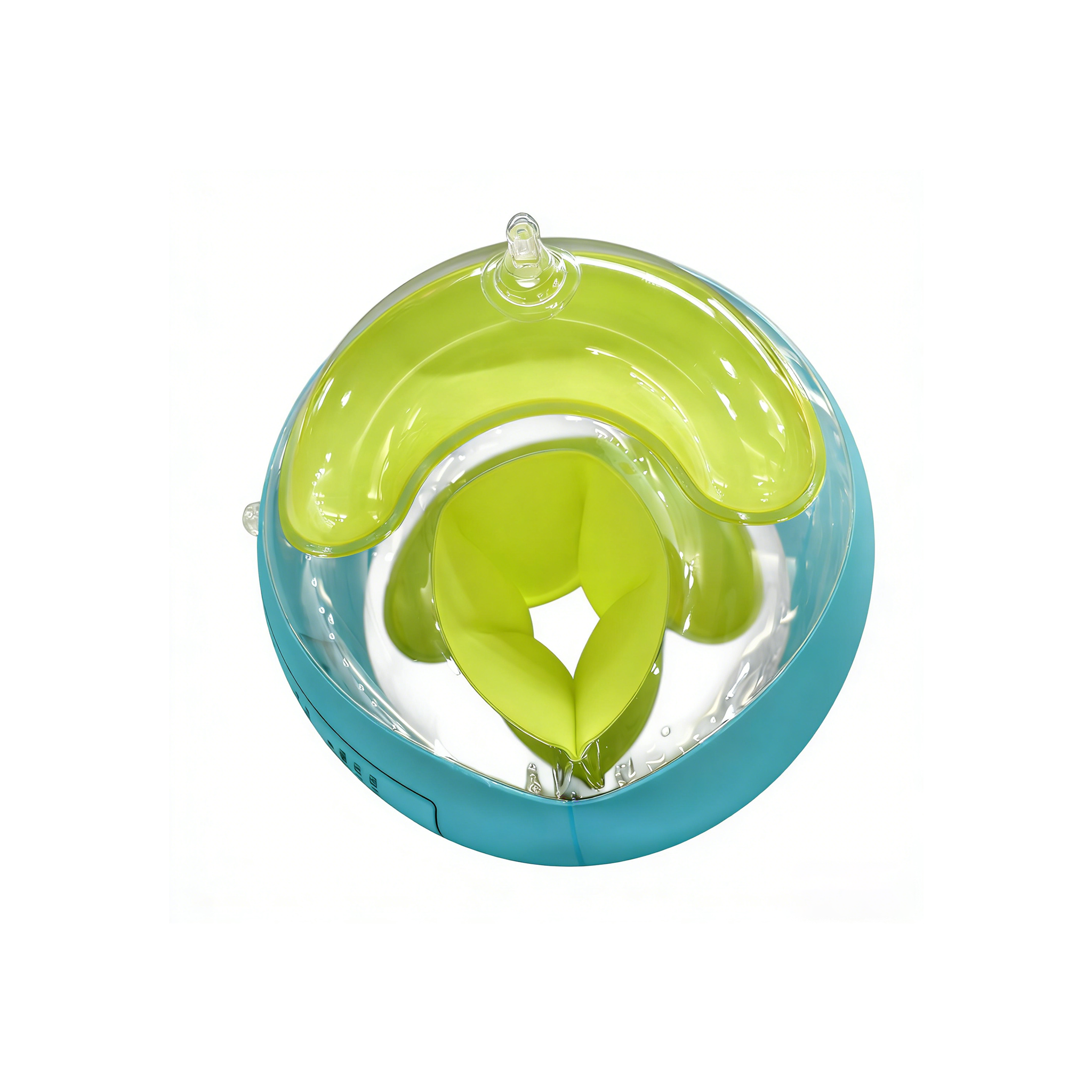 Kids Swim Arm Bands - Seagull Edition